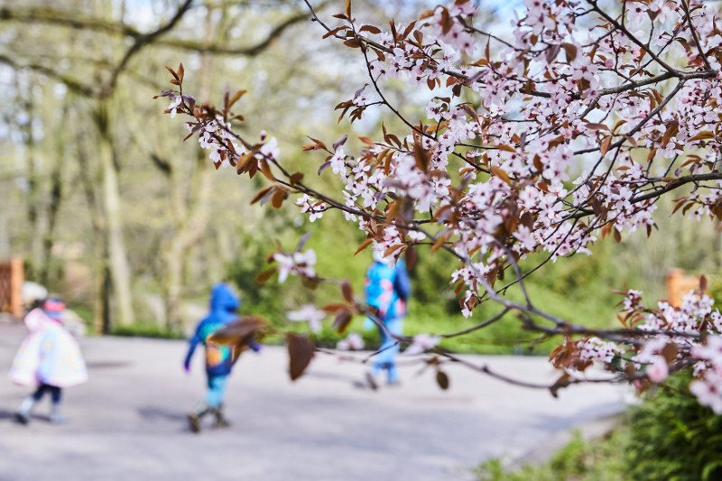 Wszystko wskazuje na to, że wiosna przyjdzie już niedługo.