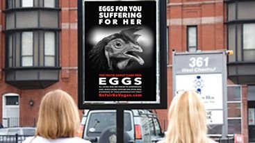 Wegańska kampania billboardowa Be fair be vegan na Time Squere