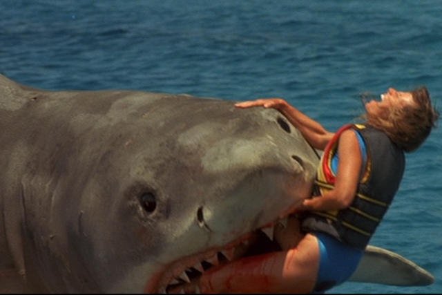 Nawet bez rekina woda może być zabójcza!