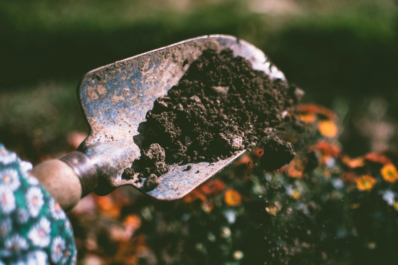 Marcowe prace w ogrodzie i na działce.