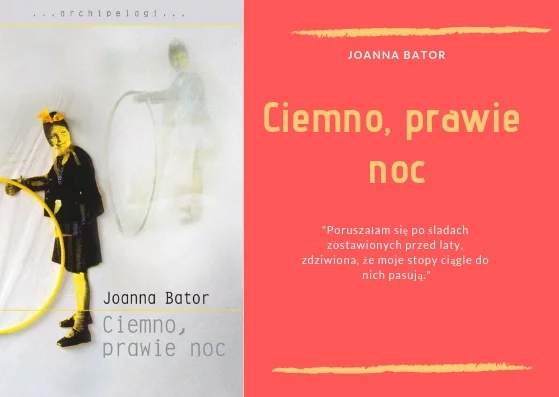 "Ciemno, prawie noc" - Joanna Bator
