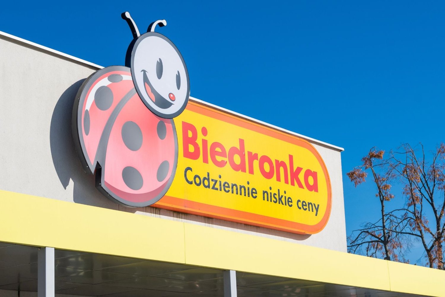 Biedronka
