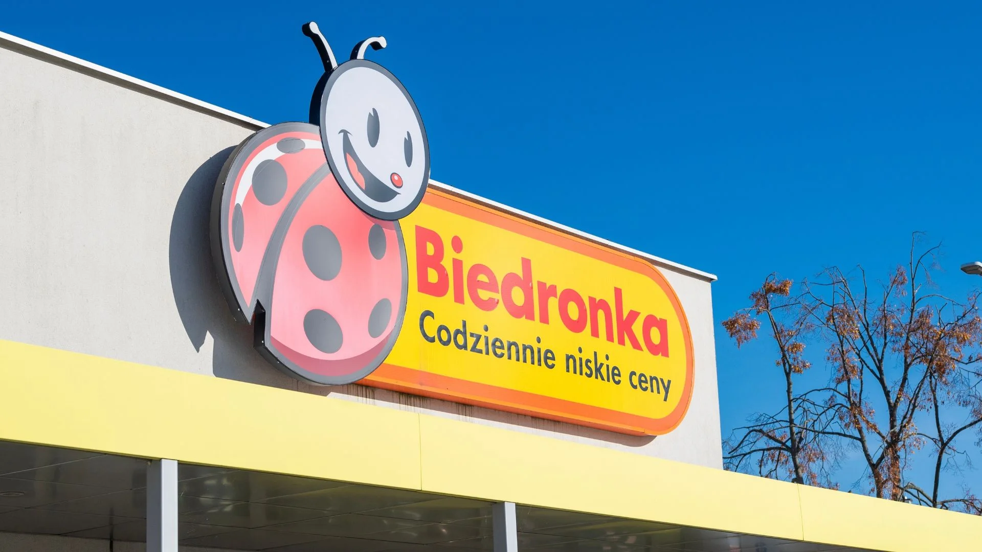 Biedronka z promocjami wchodzi na pełnej. Ale tylko w sobotę 22 sierpnia Biedronka