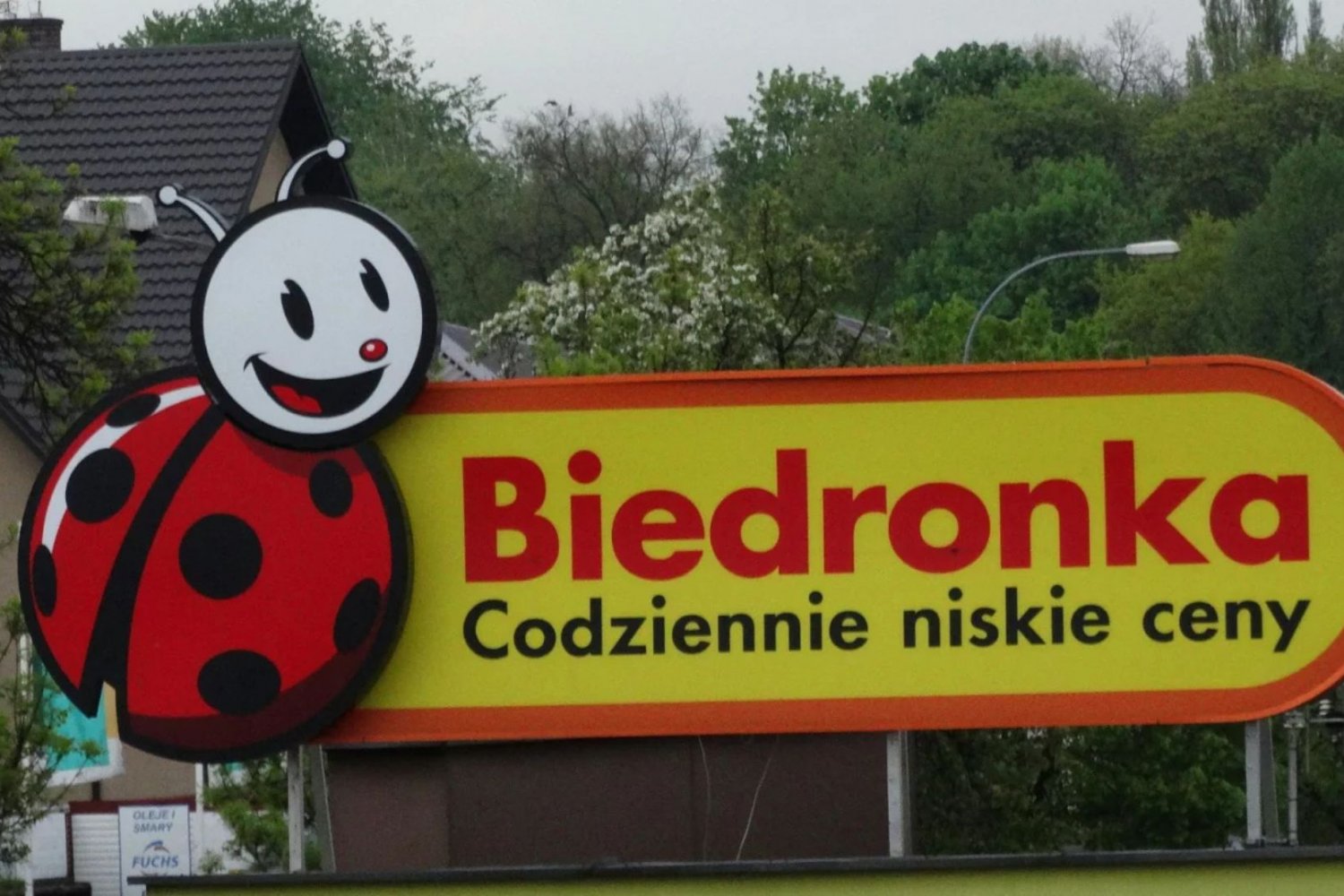 Biedronka, sklep, logo