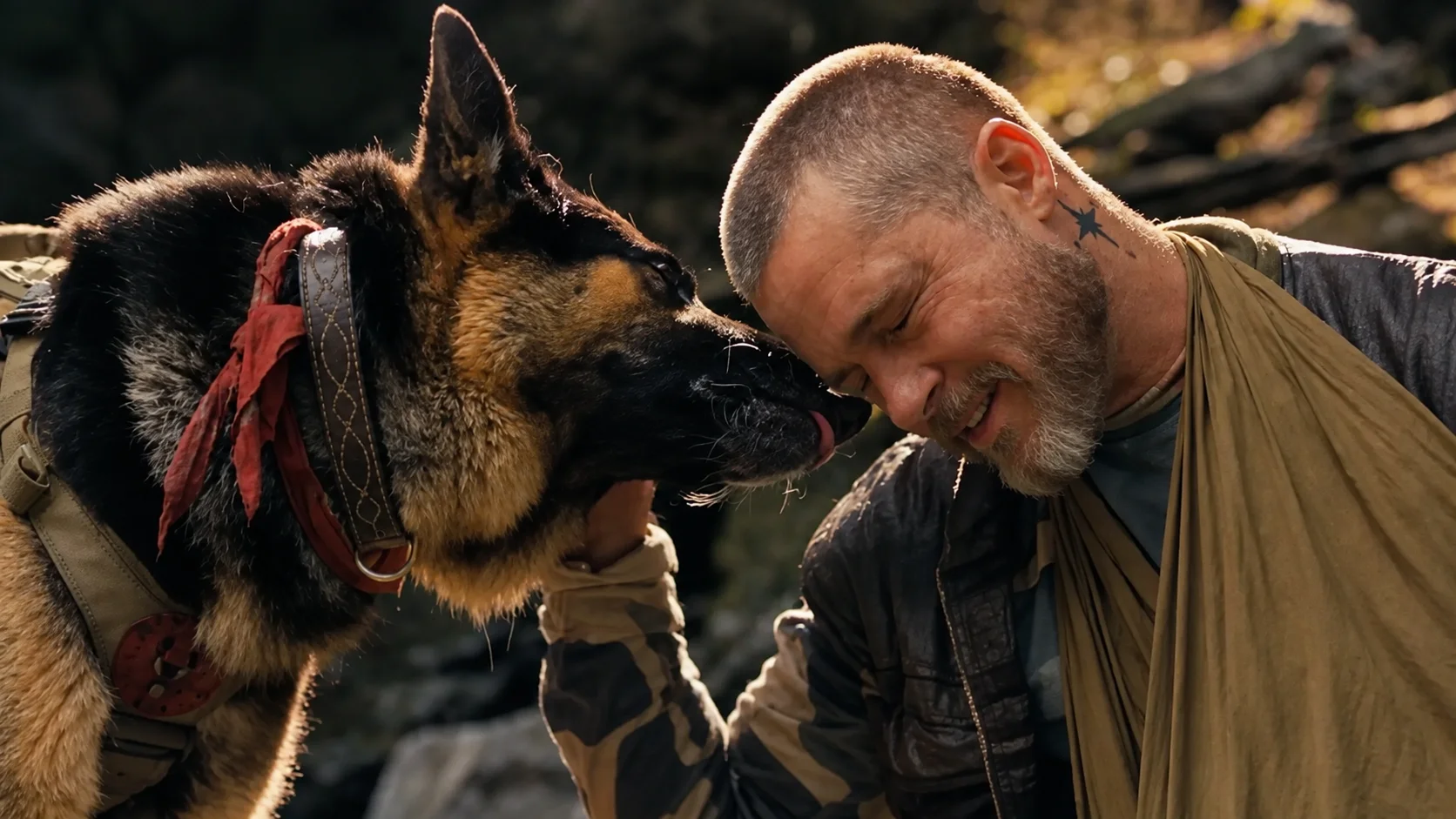 "W sercu dziczy" mógłby obejść się bez Brada Pitta. Nowy film ukradł mu pies
