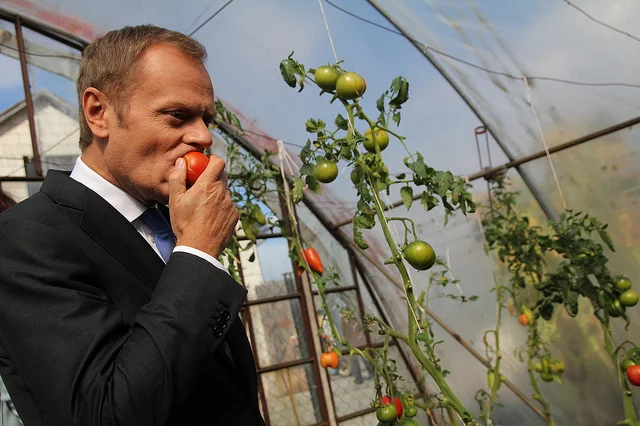 Donald Tusk