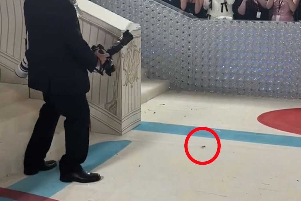 MET Gala 2023. Karaluch przed Rihanną na czerwonym dywanie.