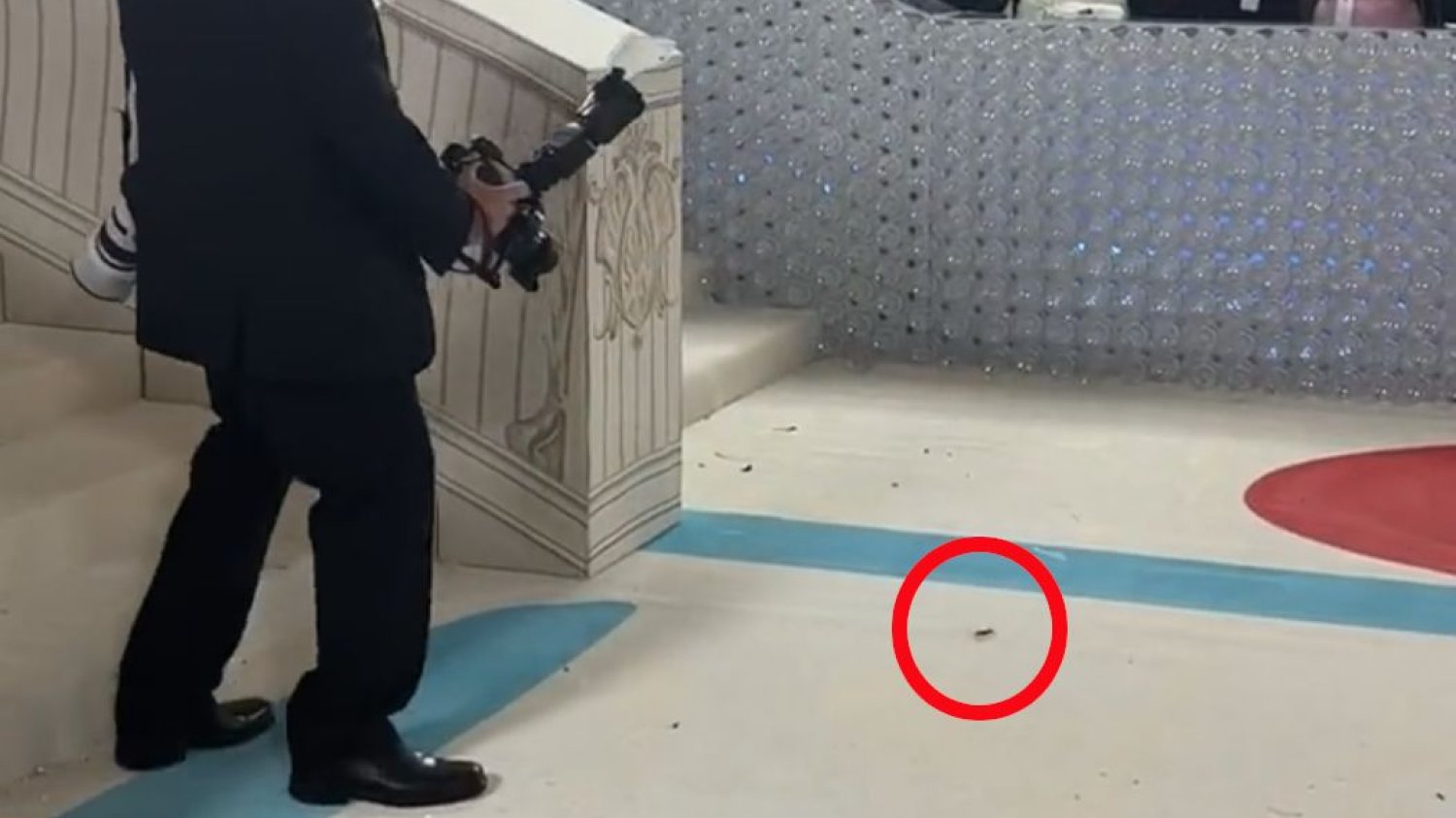 MET Gala 2023. Karaluch przed Rihanną na czerwonym dywanie.