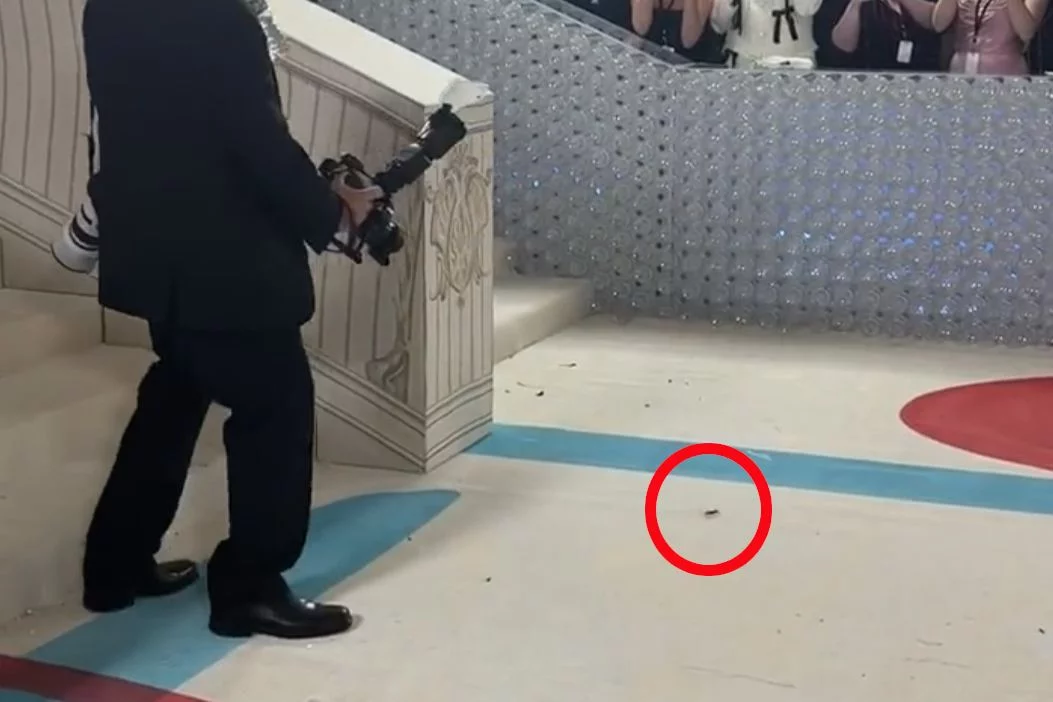 MET Gala 2023. Karaluch przed Rihanną na czerwonym dywanie.