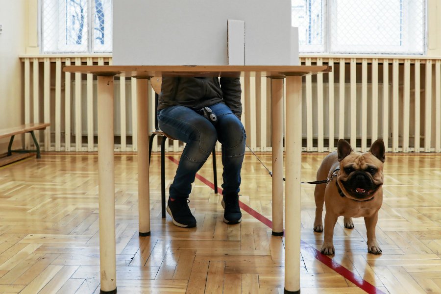 O godz. 21 poznaliśmy wstępne wyniki wyborów parlamentarnych. Wśród nich są także dane ze względu na wykształcenie wyborców.