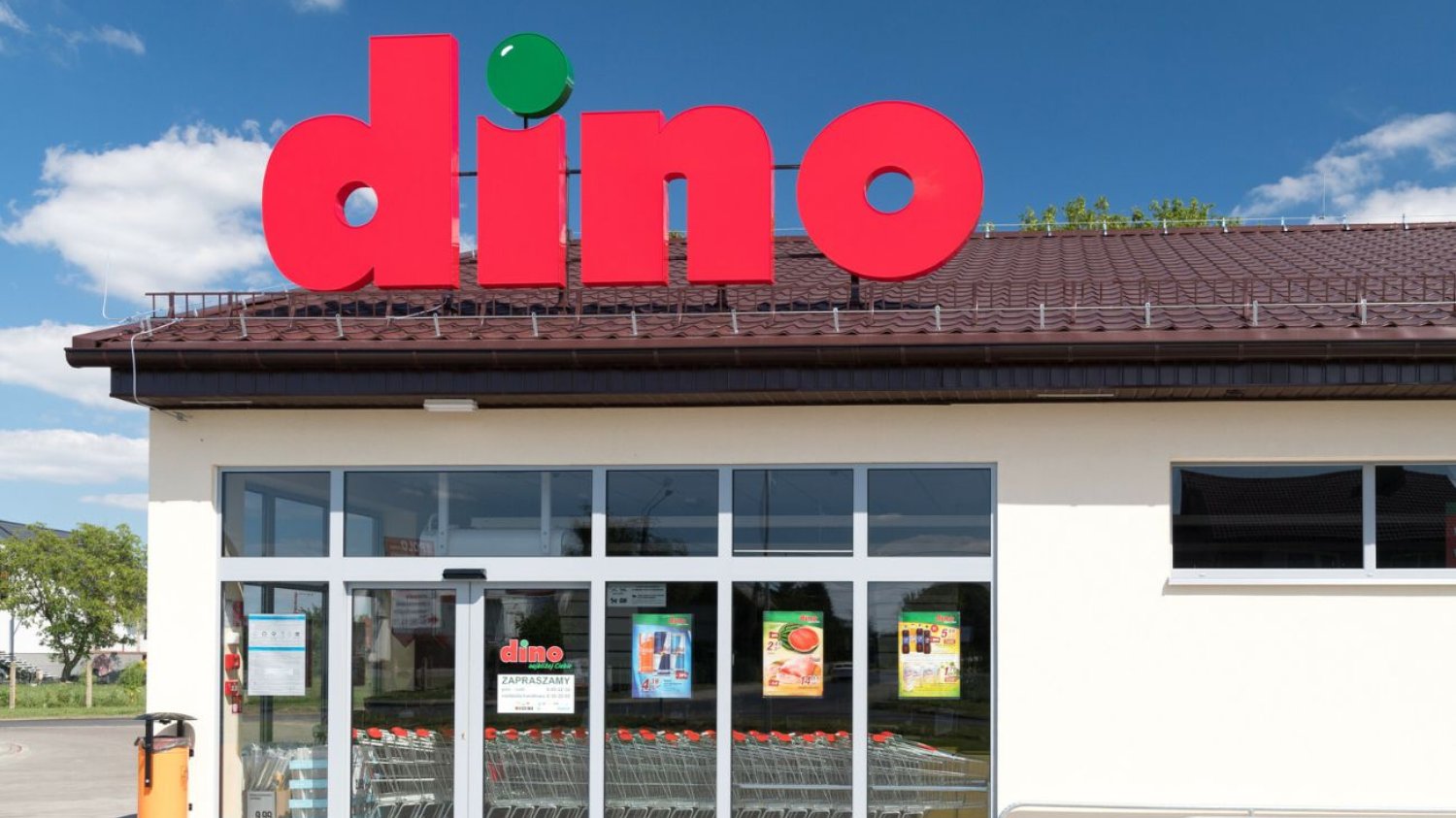 Sieć sklepów Dino dynamicznie się rozwija. Auchan i Carrefour ze spadkami