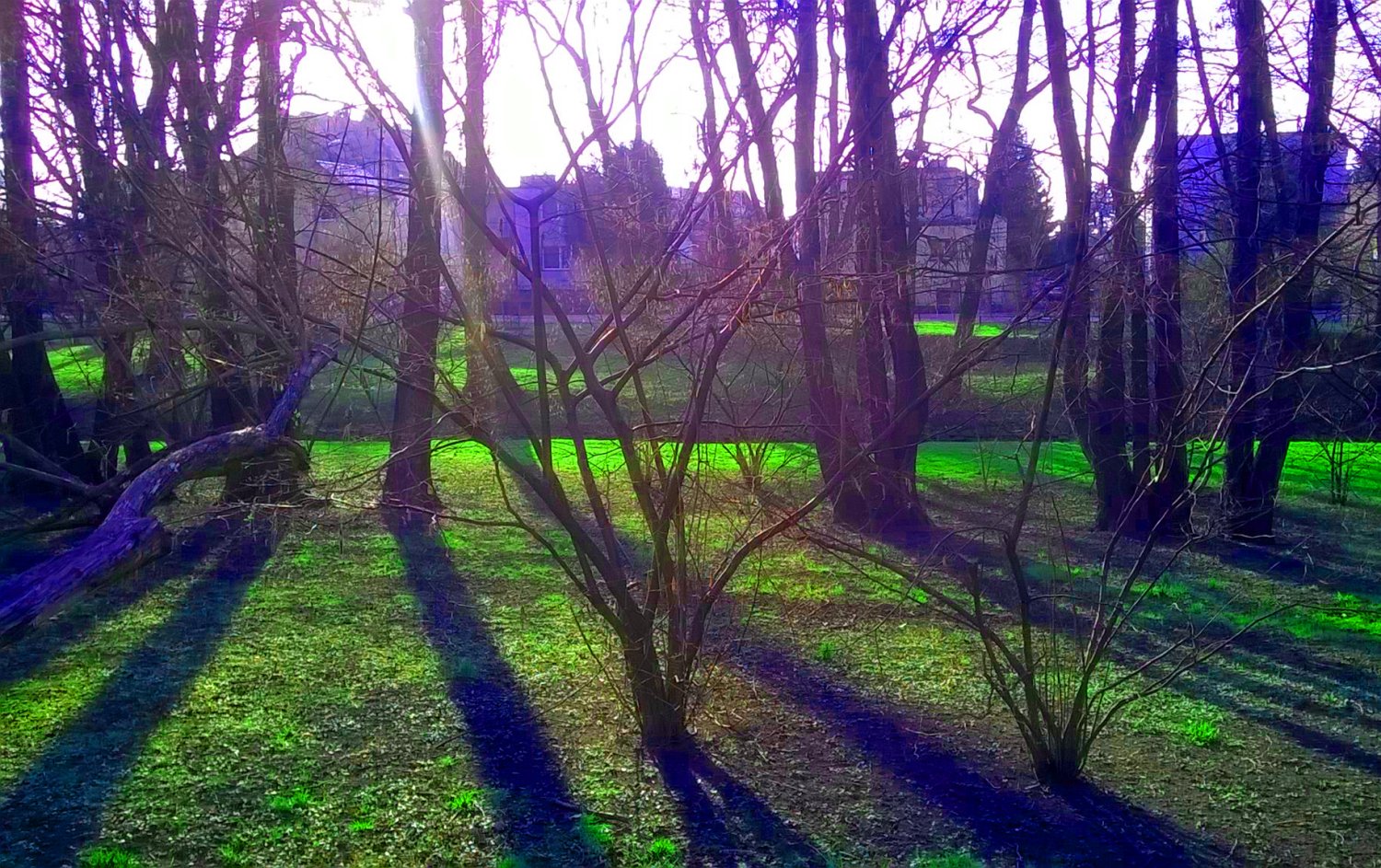 Przedwiośnie ma w sobie coś z zaproszenia do rozmów z innymi ludźmi.