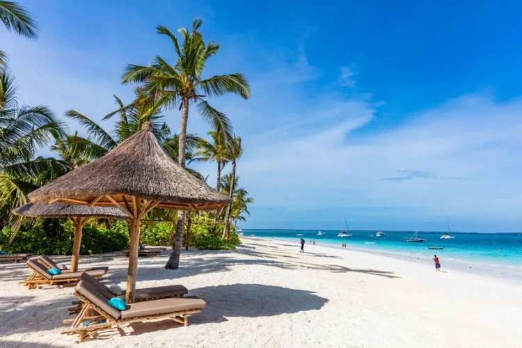 Adam Niedzielski na dzisiejszej konferencji prasowej został zapytany, czy rząd myśli o wprowadzeniu zakazu wyjazdów do krajów egzotycznych, takich jak np. Zanzibar. To niewykluczone.