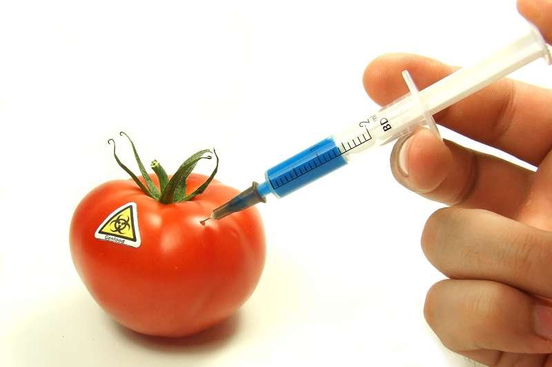 Nowa afera zrazi Polaków do jedzenia mięsa, ale i tak będziemy dalej kupować masę niezdrowych rzeczy