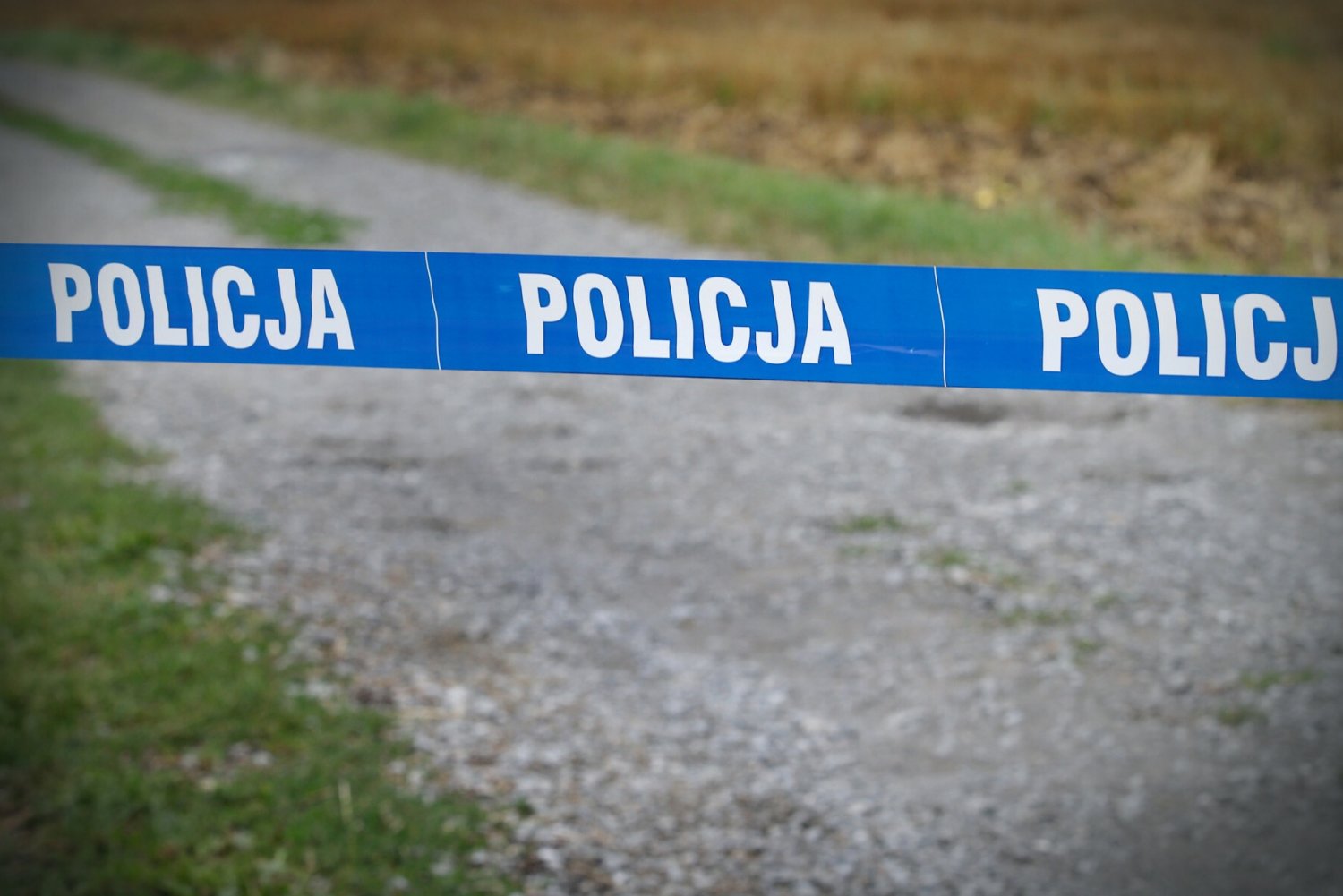 Policja - zdjęcie ilustracyjne