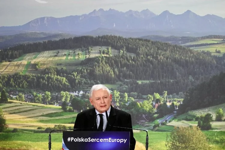Program "krowa plus" obiecał rolnikom Jarosław Kaczyński.