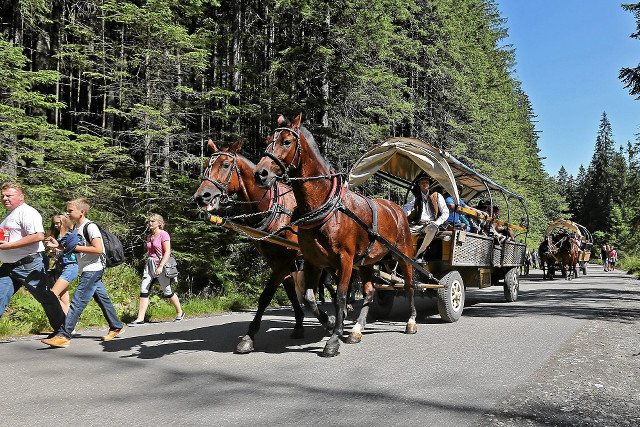 Dwójka turystów - kobieta z synem - wezwali TOPR. Twierdzili, że zgubili się na szlaku.