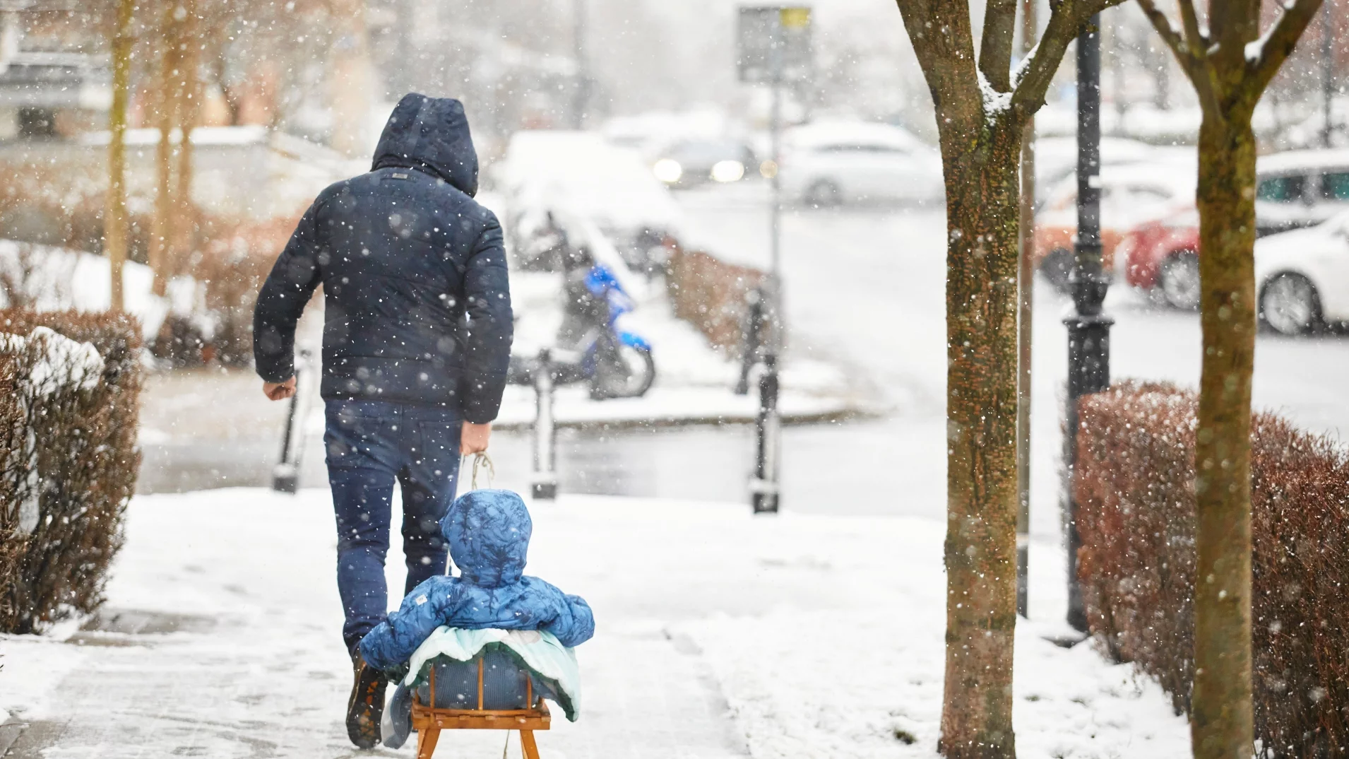 Właśnie taka ma być w Polsce zima 2025/26. Synoptycy z USA sami przecierają oczy ze zdumienia