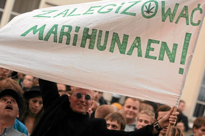 Potrzebni ochotnicy do palenia marihuany