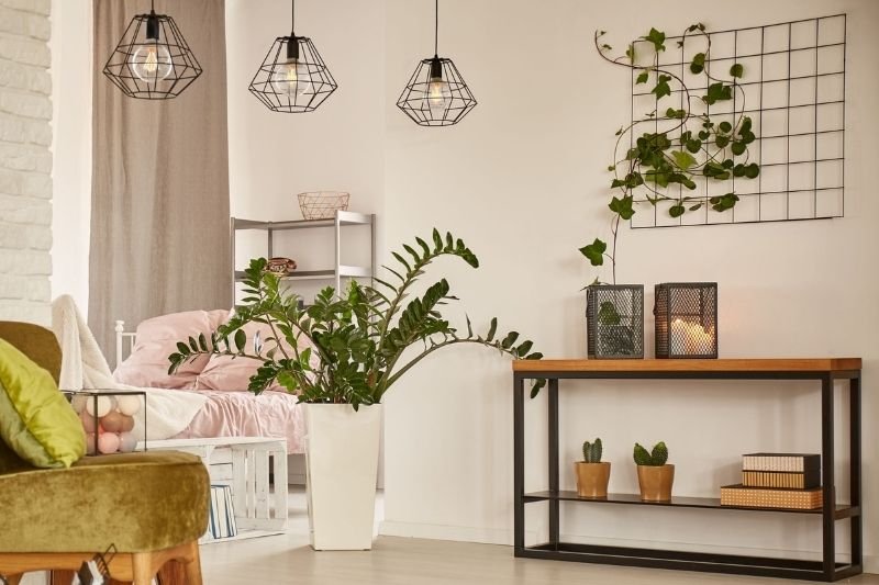 Kwiaty doniczkowe, które oczyszczają powietrze