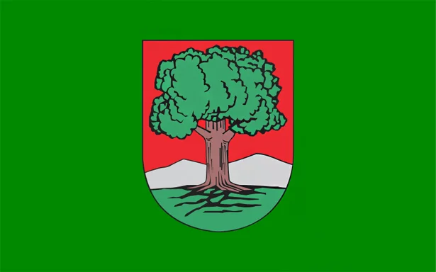 Flaga Wałbrzycha