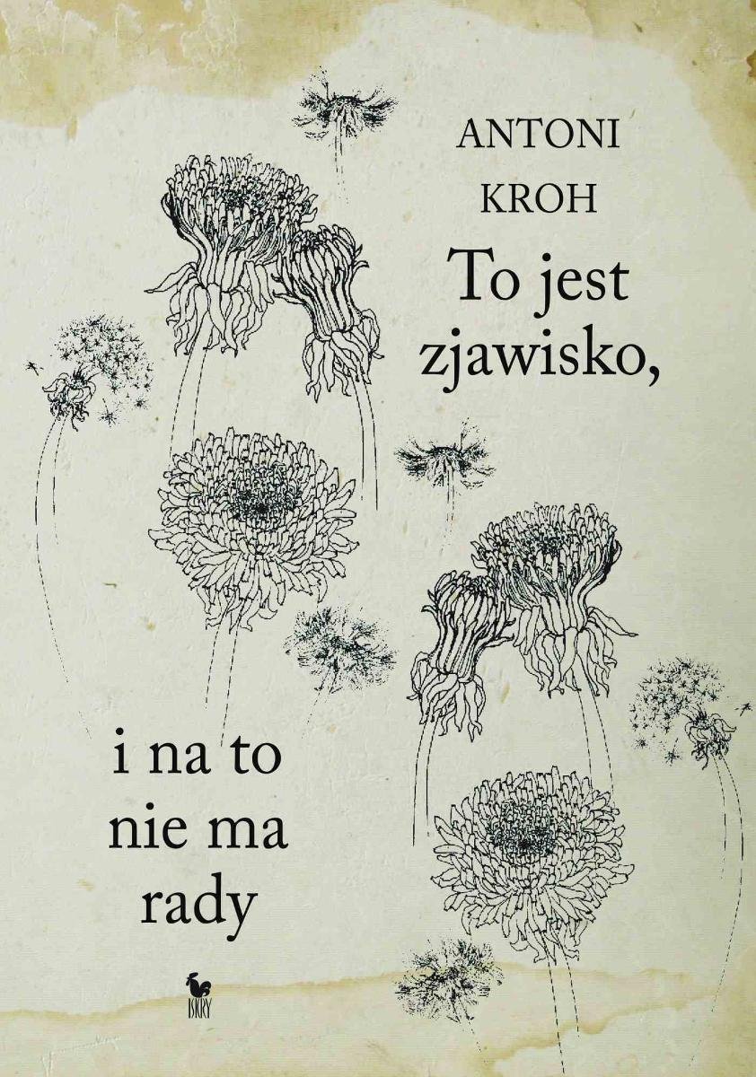 Antoni Kroh
To jest zjawisko, i na to nie ma rady