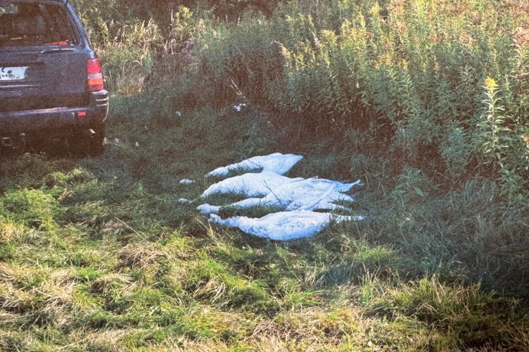 Kolejny "popis" myśliwych. Nie do wiary, jakie zwierzęta zabili