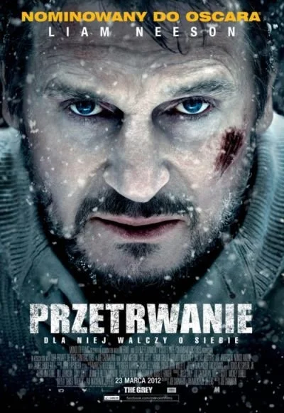 Polski plakat kinowy "Przetrwania"