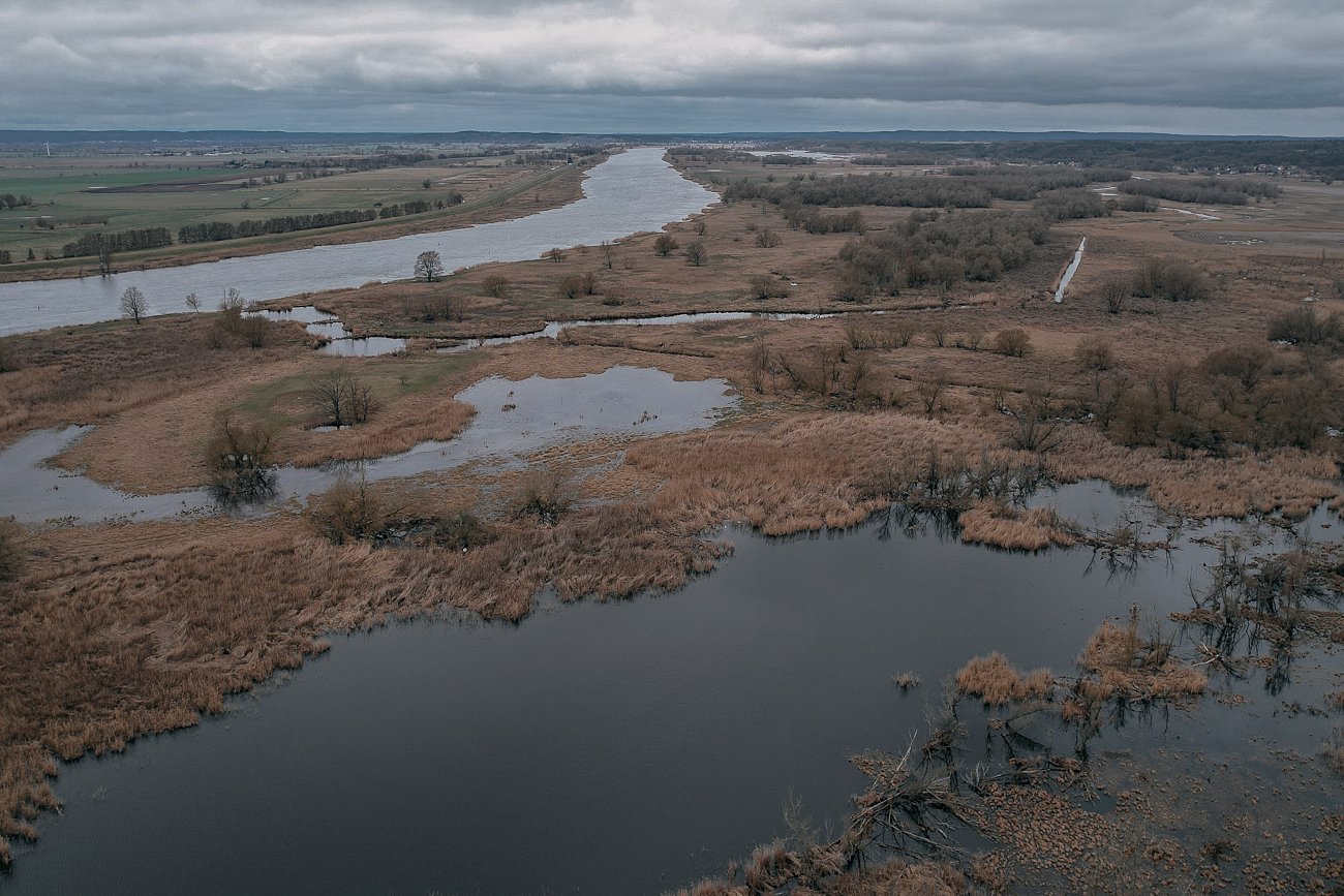 "Oda do Odry" - to redakcyjna akcja naTemat, w której wracamy do katastrofy ekologicznej z lata 2022 roku.