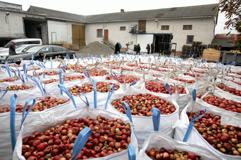 Sadownicy mają ogromny problem z jabłkami.