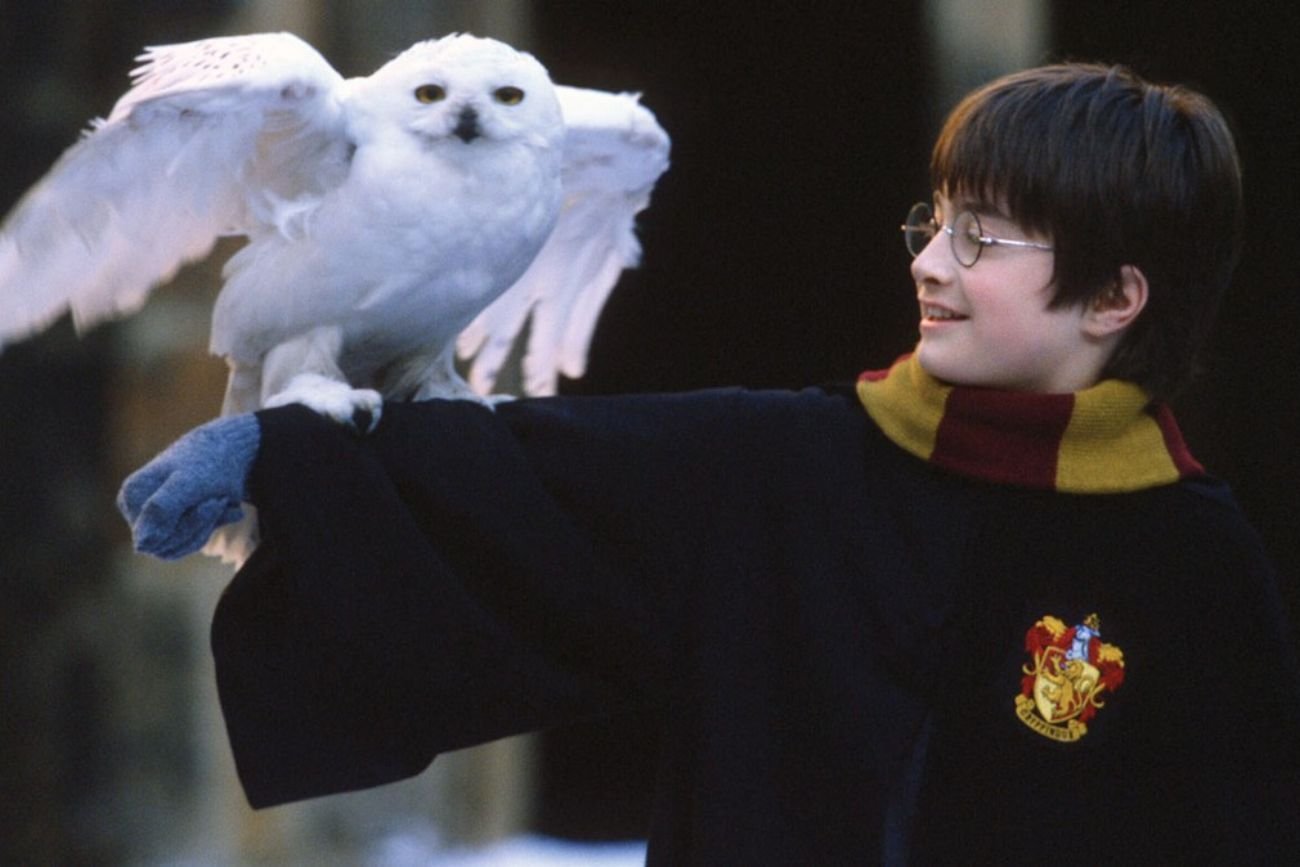 Fani Harry'ego Potter będą zachwyceni. Warner Bros. ma nowy ambitny plan