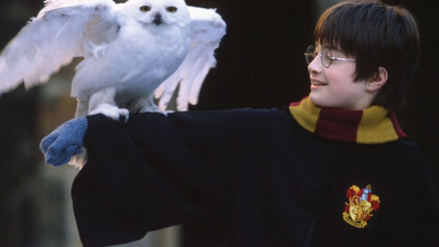 Fani Harry'ego Potter będą zachwyceni. Warner Bros. ma nowy ambitny plan