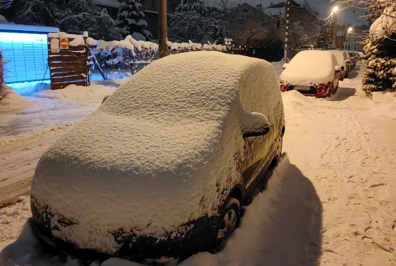 Oświęcim. Pies spędził 5 godzin zamknięty na mrozie. Musiała interweniować policja