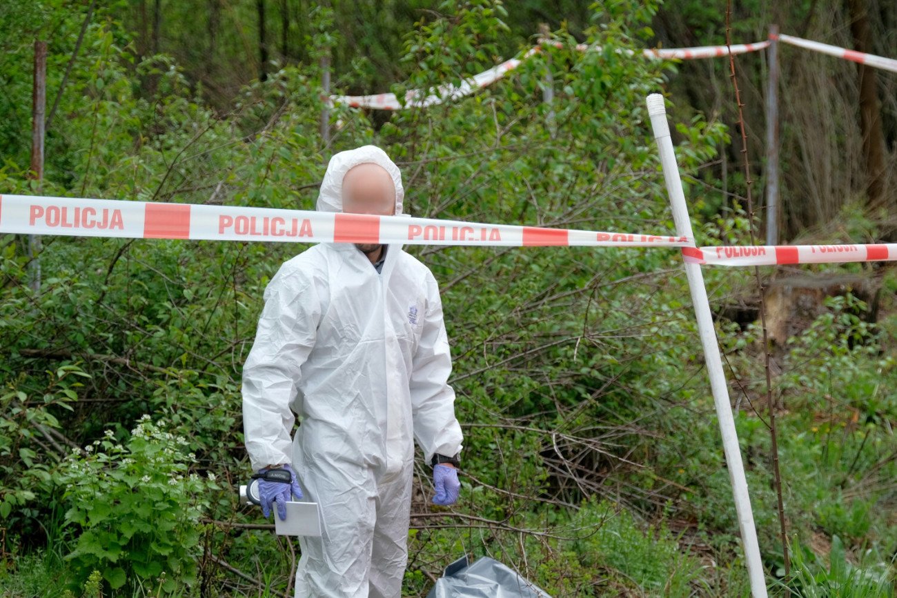 Zdjęcie jest ilustracją do tekstu.