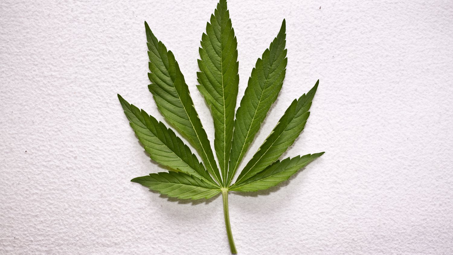Legalna marihuana to dobra wiadomość dla biznesu