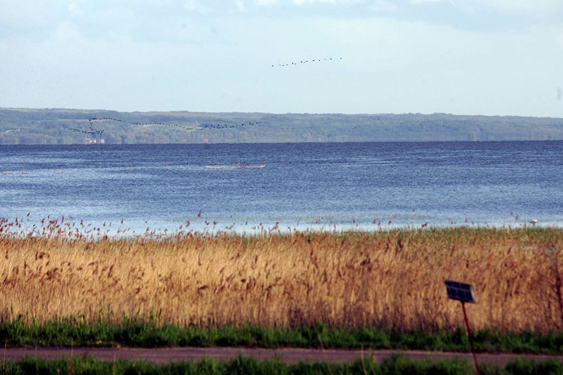 Port elbląski nie będzie ani współpracował ani rywalizował z gdańskim w odczuwalnym zakresie. Zagrożona natomiast jest przyroda Mierzei Wiślanej.