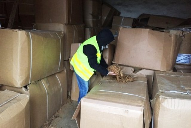 Tytoń zabezpieczony pod Łęczycą