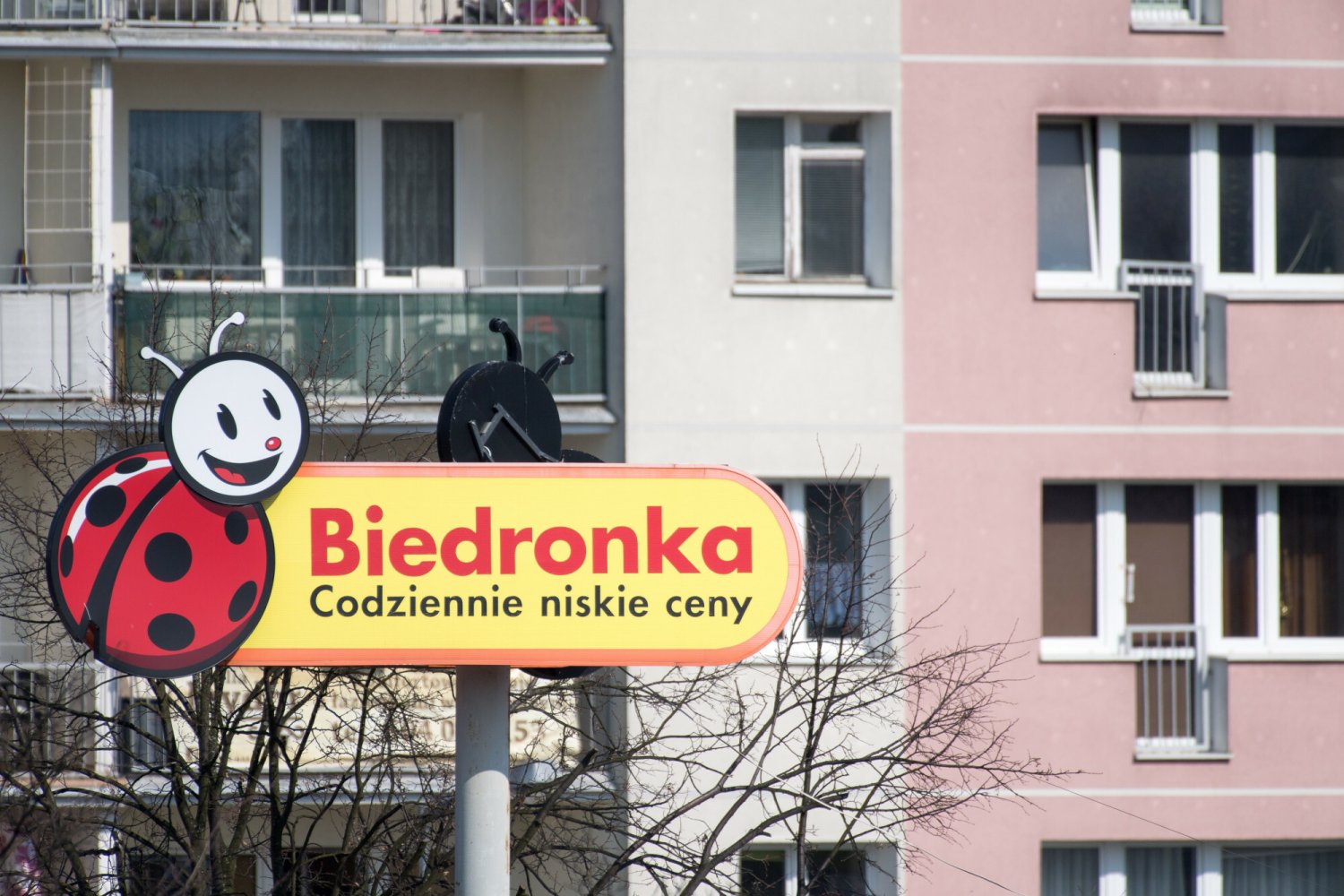 Są pewne haczyki w Wielkim Konkursie Biedronki, na które lepiej zwrócić uwagę, zanim weźmie się w nim udział.