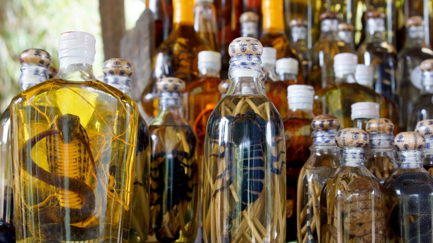 [url=http://shutr.bz/PO4mc1] Wódka żmijówka [/url]