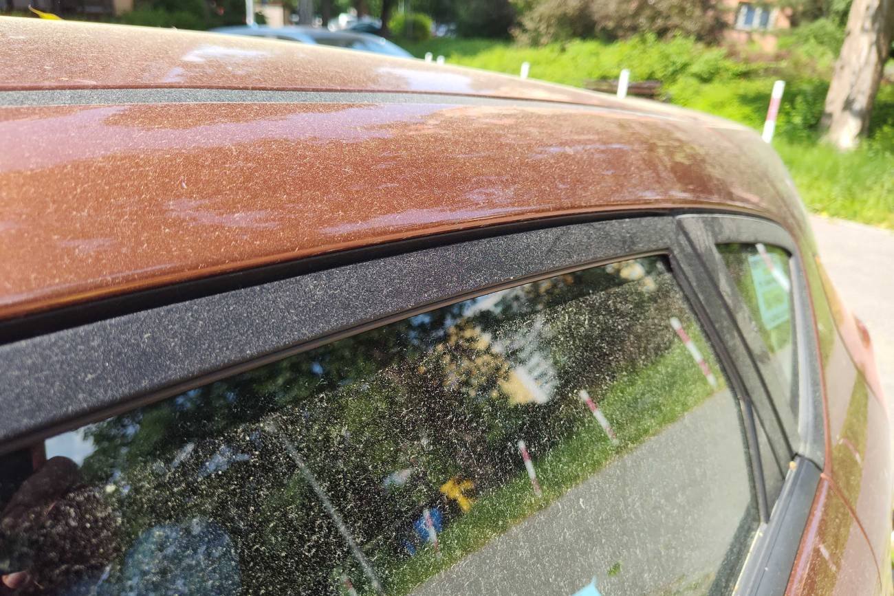 Żółty pył na autach i oknach – czy jest szkodliwy? Nie ścierajcie go dłonią