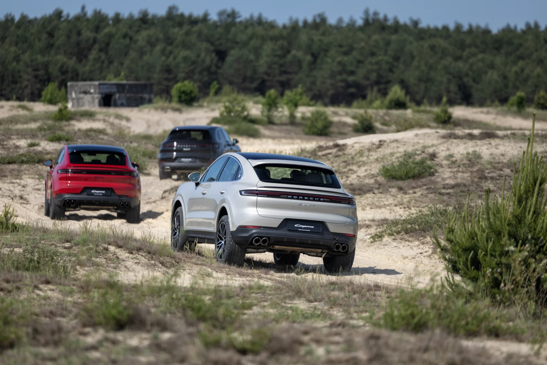 Cayenne into the desert Cayenne into the desert