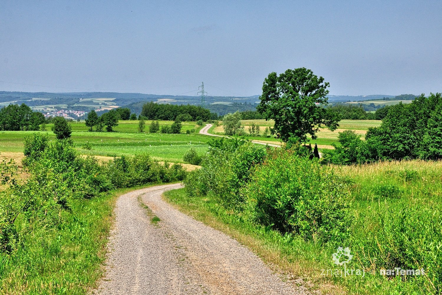 Green Velo biegnący przez Pogórze Dynowskie