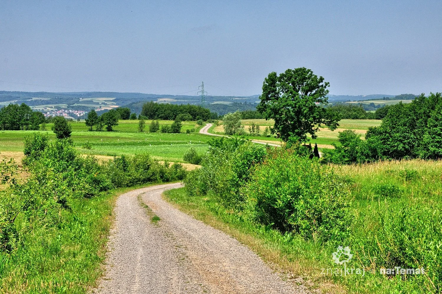 Green Velo biegnący przez Pogórze Dynowskie