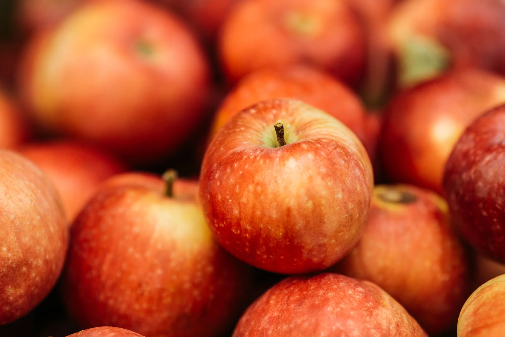 Paulared