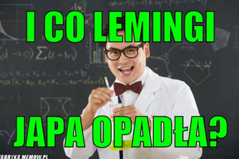 Lemingi - tak określani są wyborcy Platformy Obywatelskiej i Nowoczesnej