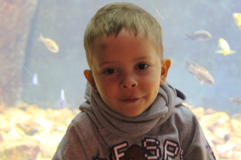 Filip Malinowski, czterolatek, który cierpi na chorobę Niemmana Picka typu C zwaną potocznie dziecięcym Alzheimerem.