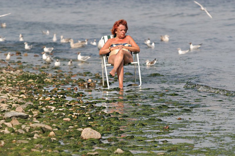 Naukowcy nie mają wątpliwości, że latem sinice nad Bałtykiem to widok, do którego musimy przywyknąć. I uważać, by w Bałtyku się nie zatruć.