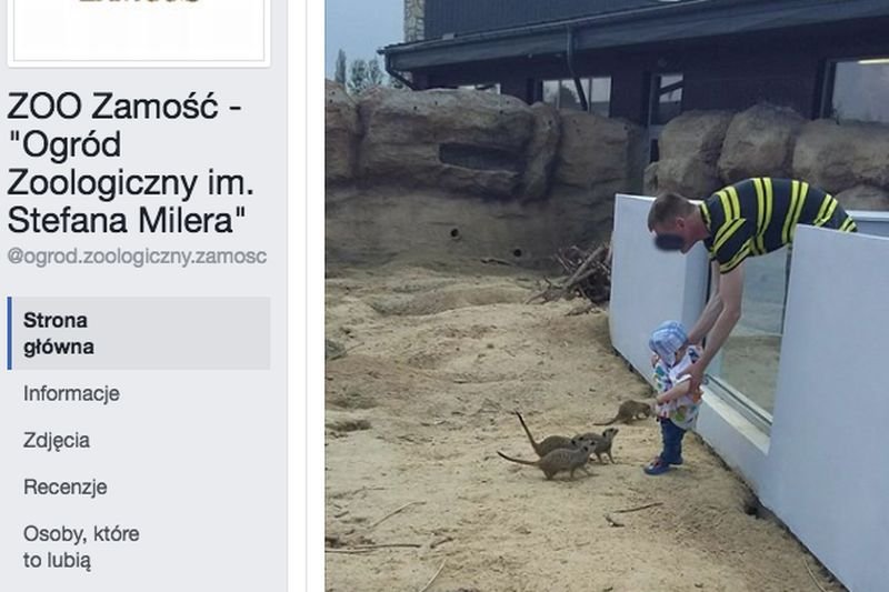 Ojciec wkłada dziecko do wybiegu z dzikimi zwierzętami