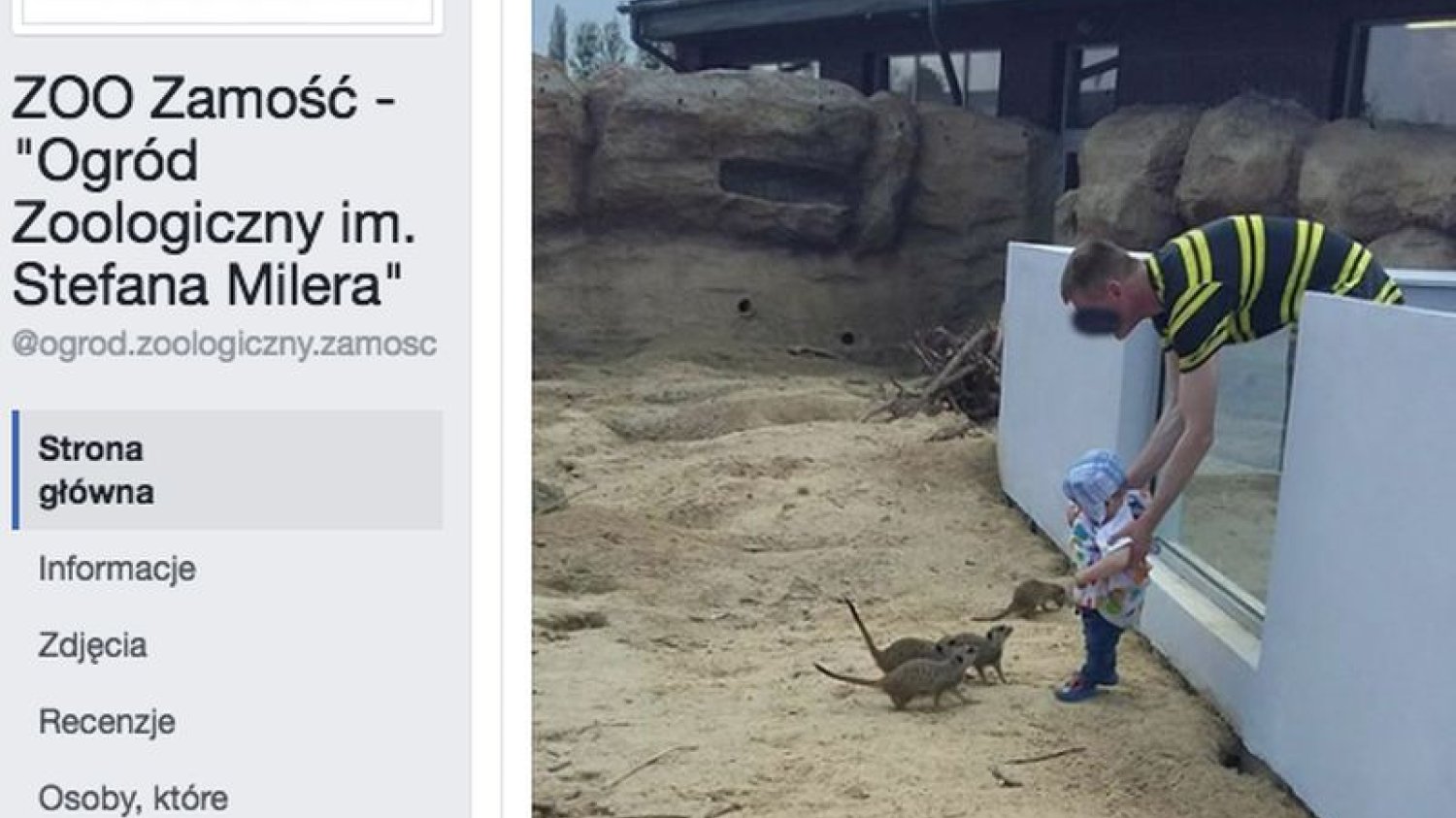 Ojciec wkłada dziecko do wybiegu z dzikimi zwierzętami