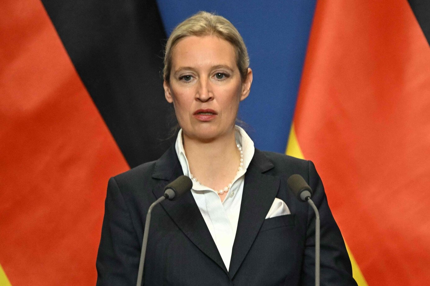 Pranie pieniędzy? Afera o podejrzaną darowiznę dla AfD